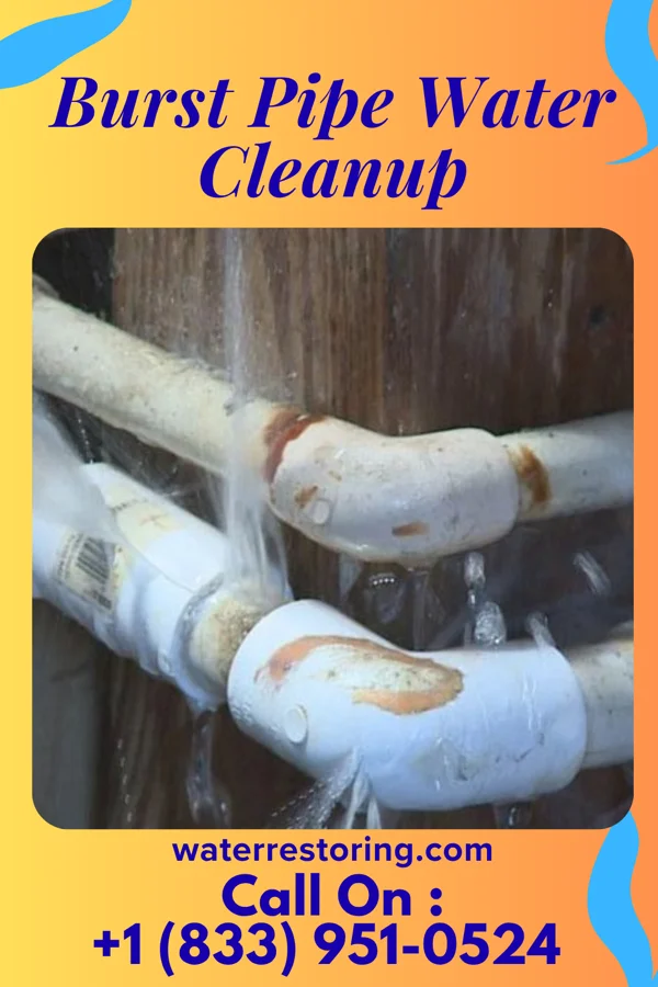 Burst Pipe Water Cleanup in Hublersburg, PA