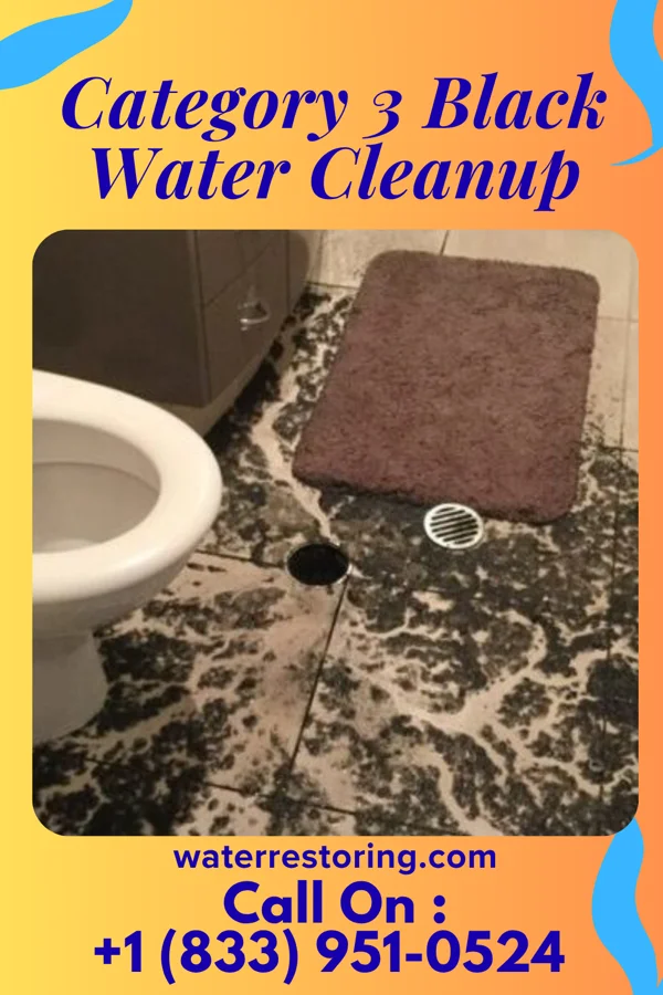 Category 3 Black Water Cleanup in Hublersburg, PA